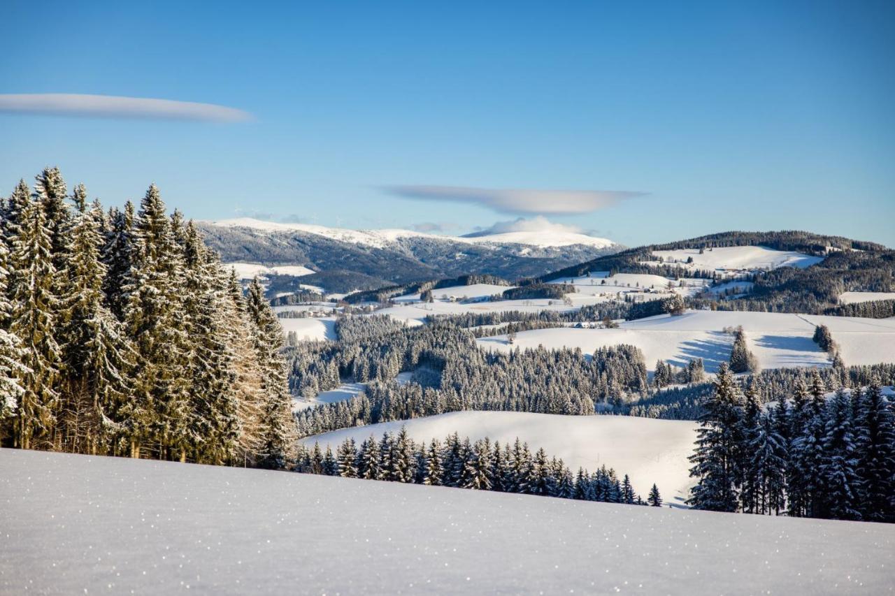 Hotel Der Almblick Strallegg Esterno foto