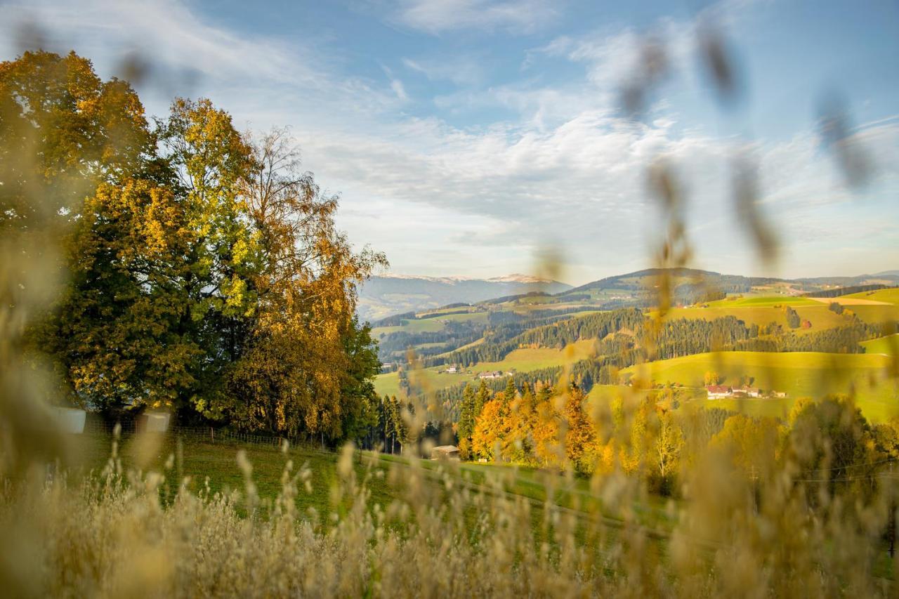 Hotel Der Almblick Strallegg Esterno foto