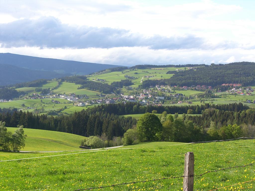 Hotel Der Almblick Strallegg Esterno foto