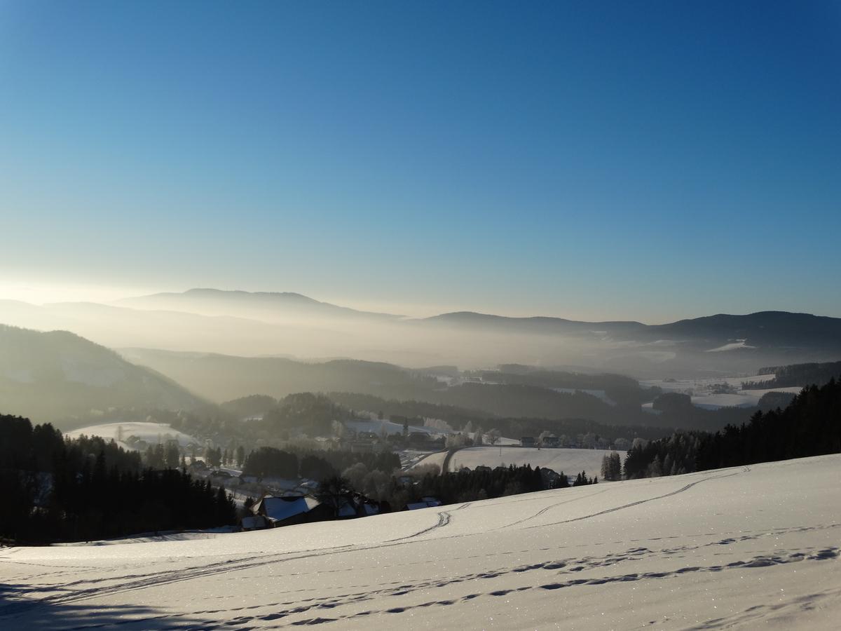 Hotel Der Almblick Strallegg Esterno foto